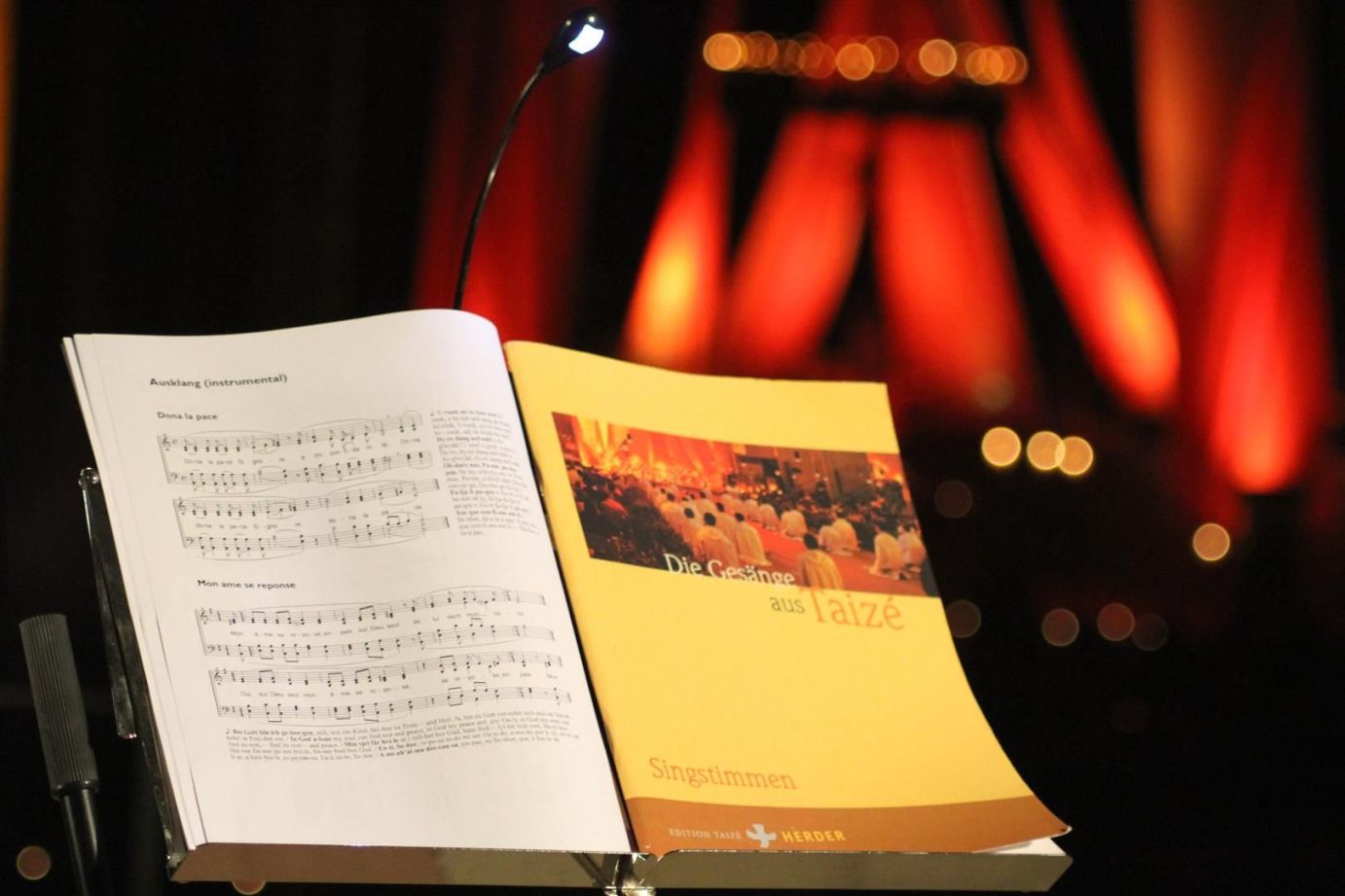 2025 img_4975--large-